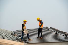 Best Roof Insulation Installation  in La Vista, NE